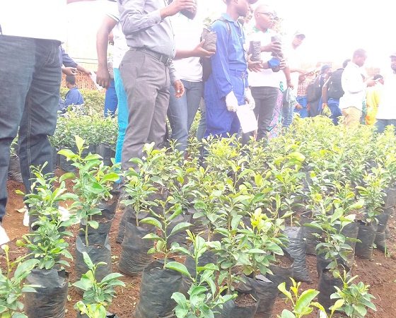 journée mondiale de l'environnement