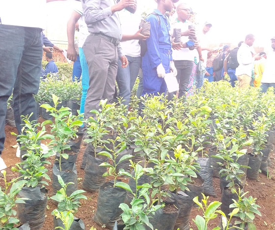 journée mondiale de l'environnement