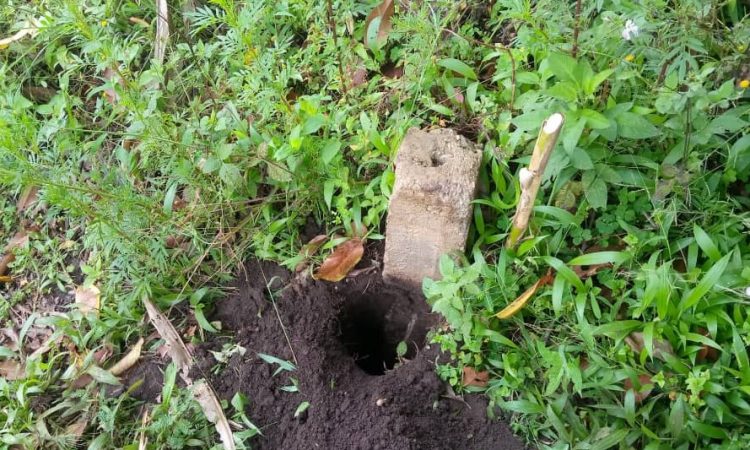 Borne placée dans la concession de l'INERA-MULUNGU dans sa partie dite spoliée. Photo crédit deboutrdc.net_février 2023