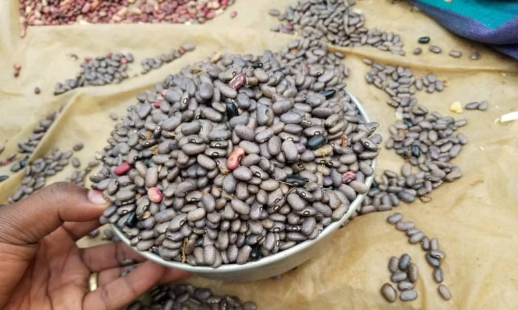 Haricot sec sur une mesure locale dite "namaha" (1,5 Kg), au marché de Katana à Kabare au Sud-Kivu_26 avril 2023. Photo © deboutrdc.net