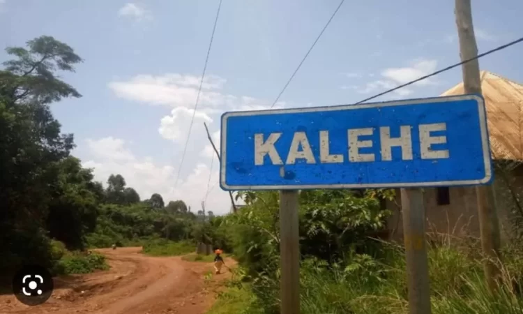 Kalehe, au Sud-Kivu_RD Congo