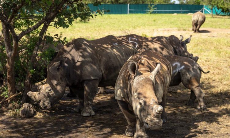 Photo de Frank Weitzes, publiée par Cyntia B.