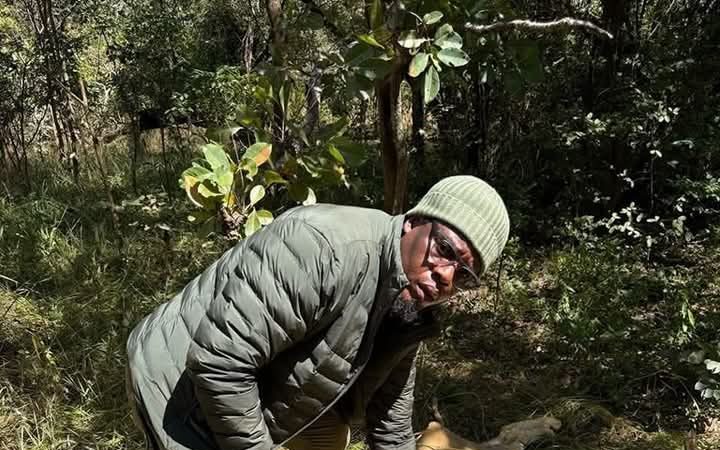 Dr Jean-Claude Binemo du Zoo de Lubumbashi en pleine opération d'immobilisation des lionnes en cavale à Lubumbashi le 25 mai 2025. Photo crédit tiers.